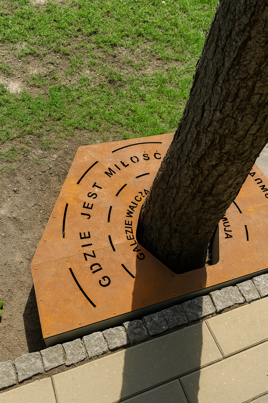 Maskownica Podest Dekoracja drzew ogrodu Stal Corten
