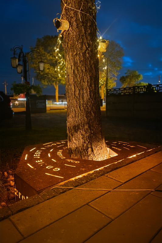 Maskownica Podest Dekoracja drzew ogrodu Stal Corten